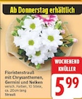 Floristenstrauß für 5,99 € bei E center im Angebot Floristenstrauß im aktuellen E center Prospekt