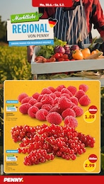 Penny Johannisbeeren im Prospekt Penny Johannisbeeren im Prospekt