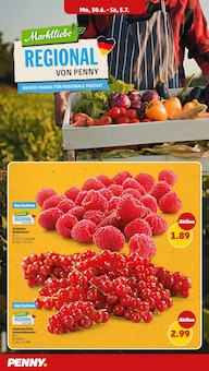 Pflanzen Angebot im aktuellen Penny Prospekt auf Seite 4