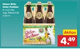 Oster-Festbier Angebote von Hasen-Bräu bei Netto Marken-Discount Reutlingen für 4,49 €