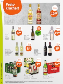 Warsteiner im aktuellen tegut Prospekt (Fürth) Warsteiner im tegut Prospekt "tegut… gute Lebensmittel" mit 23 Seiten (Fürth)