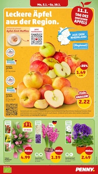 Obst im aktuellen Penny Prospekt (Dortmund) Obst im Penny Prospekt "Wer günstig will, muss Penny." mit 42 Seiten (Dortmund)