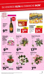 Prix et réduction Bouquet De Fleurs dans le prospectus Lidl en cours Offre Bouquet De Fleurs dans le catalogue Lidl du moment à la page 35