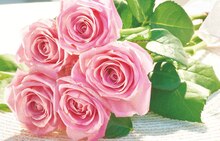 Bouquet de 5 roses - Carrefour Market à Gennevilliers Bouquet de 5 roses en promo chez Carrefour Market Gennevilliers à 4,99 €