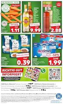 Joghurt im aktuellen Kaufland Prospekt (Potsdam) Joghurt im Kaufland Prospekt "KNÜLLER" mit 58 Seiten (Potsdam)