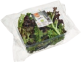 Aktuelle Salat Angebote bei tegut in Nürnberg Aktuelles Bio-Salat Mix Angebot bei tegut in Nürnberg ab 1,49 €