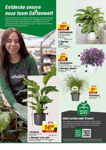 Blumentopf im aktuellen toom Baumarkt Prospekt (Karlsruhe) Blumentopf im toom Baumarkt Prospekt "Respekt, wer's selber macht." mit 24 Seiten (Karlsruhe)