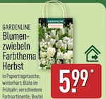 Blumenzwiebeln Farbthema Herbst im Angebot bei ALDI Nord in Velbert Blumenzwiebeln Farbthema Herbst Angebote von Gardenline bei ALDI Nord Velbert für 5,99 €