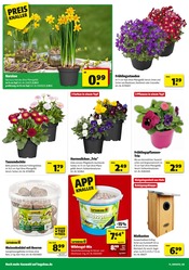 Aktueller Hagebaumarkt Prospekt mit Blumen, "HOL DIR FREUDE IN DEINEN GARTEN", Seite 18
