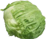 EDEKA Echem - Eisbergsalat Angebot im Prospekt Eisbergsalat bei EDEKA im Echem Prospekt für 0,66 €