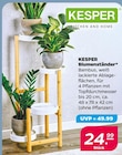 Blumenständer Angebote von Kesper bei Netto mit dem Scottie Stade für 24,99 €