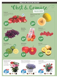 Pflanzen im V-Markt Prospekt "V-Markt einfach besser einkaufen" auf Seite 4