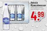 Mineralwasser im Angebot bei Trinkgut in Offenbach Mineralwasser Angebote von Hassia bei Trinkgut Offenbach für 4,99 €