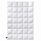 WINTERDECKE 155/220 cm 10 % Federn 90 % Daunen im Angebot bei XXXLutz in Mannheim WINTERDECKE 155/220 cm 10 % Federn 90 % Daunen Angebote von Billerbeck bei XXXLutz Mannheim für 299,90 €