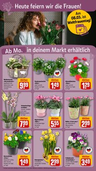 Pfanne im REWE Prospekt "Dein Markt" mit 30 Seiten (Aachen)