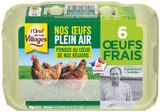 6 œufs frais Plein Air - L'Œuf de nos Villages en promo chez Colruyt 6 œufs frais Plein Air - L'Œuf de nos Villages dans le catalogue Colruyt