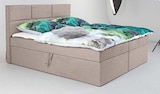 Boxbett KIAM Angebote bei Trends Hennef für 599,00 €