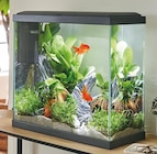 Aquarium "Fresh 40 XL LED" PURE FAMILY - PURE FAMILY à 49,99 € dans le catalogue Jardiland