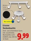 Deckenleuchte im Lidl Prospekt Deckenleuchte von Livarno im aktuellen Lidl Prospekt für 9,99 €