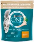 Aktuelle Katzenfutter Angebote bei Netto mit dem Scottie in Dresden Aktuelles Katzentrockennahrung Angebot bei Netto mit dem Scottie in Dresden ab 2,99 €