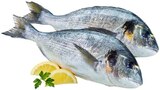Dorade Royal von fe für 1,39 € bei REWE im Angebot Dorade Royal von fe im aktuellen REWE Prospekt
