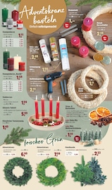 Bindedraht Angebote im Prospekt "Top Angebote" von Thomas Philipps auf Seite 28