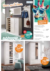 Aktueller Zurbrüggen Prospekt mit Dekoration, "HOME SWEET HOME", Seite 7