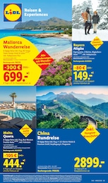 Discounter Reisen im Lidl Prospekt Discounter Reisen im Lidl Prospekt "LIDL LOHNT SICH" auf Seite 73
