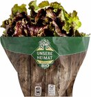 Bunte Salate im Angebot bei EDEKA in Stuttgart Bunte Salate Angebote von Demeter bei EDEKA Stuttgart für 2,49 €