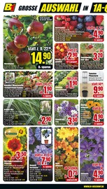 Aktueller B1 Discount Baumarkt Prospekt mit Blumen, "BESTPREISE DER WOCHE!", Seite 4