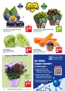Gemüse im EDEKA Prospekt "Aktuelle Angebote" mit 12 Seiten (Heidelberg)