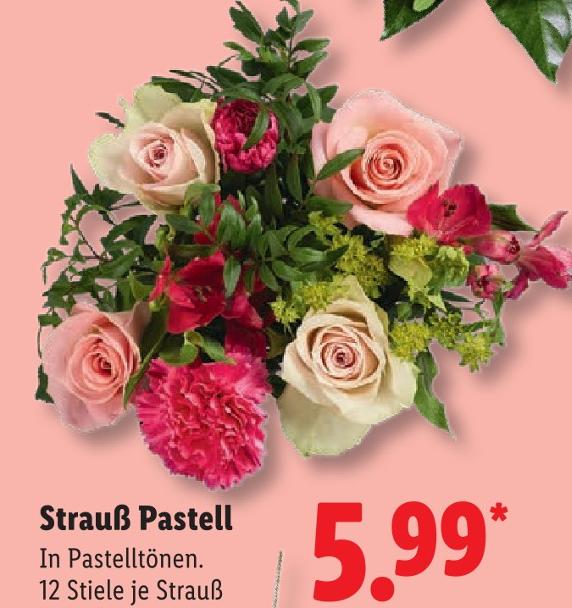 Strauß Pastell