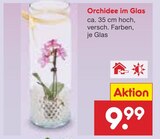 Orchidee im Glas Angebote bei Netto Marken-Discount Straubing für 9,99 €