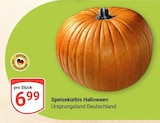 Speisekürbis Halloween im Angebot bei GLOBUS in Gießen Speisekürbis Halloween Angebote bei GLOBUS Gießen für 6,99 €