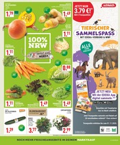 Aktueller Marktkauf Prospekt mit Kürbis, "Aktuelle Angebote", Seite 3