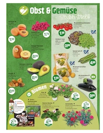 Bio Auberginen im V-Markt Prospekt "V-Markt einfach besser einkaufen" auf Seite 4