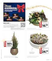 Bratpfanne im Blumen Ostmann Prospekt in Aurich Aktueller Blumen Ostmann Prospekt mit Bratpfanne, "WEIHNACHTS-KNALLER", Seite 7