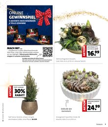 Pflanzen im aktuellen Blumen Ostmann Prospekt (Bremen) Pflanzen im Blumen Ostmann Prospekt "WEIHNACHTS-KNALLER" mit 9 Seiten (Bremen)