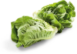Aktuelles Mini-Romanasalat Angebot bei Netto Marken-Discount in Duisburg ab 0,88 €