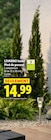 Pied de parasol - LIVARNO HOME - Lidl à Noisy-le-Grand Pied de parasol - LIVARNO HOME en promo chez Lidl Noisy-le-Grand à 14,99 €