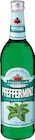 Pfefferminz Likör von Nordbrand Nordhausen im aktuellen Netto Marken-Discount Prospekt für 3,99 €