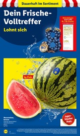 Ähnliche Trockenfrüchte Angebote im Prospekt "LIDL LOHNT SICH" von Lidl in Neuss Ähnliche Angebote wie Trockenfrüchte im Prospekt "LIDL LOHNT SICH" auf Seite 2 von Lidl in Neuss
