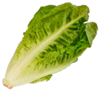 Bio Salatherzen Mini Romana von  im aktuellen Marktkauf Prospekt für 1,99 €