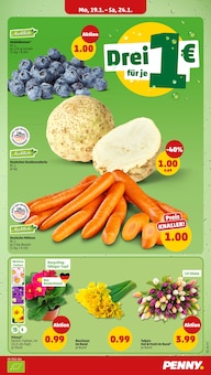 Gemüse im Penny Prospekt "Wer günstig will, muss Penny." mit 40 Seiten (Pforzheim)