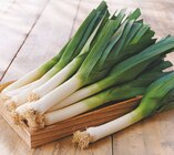 Intermarché Express Talence - Promo Poireau Promo Poireau à 1,49 € dans le catalogue Intermarché Express à Talence