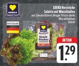 Aktuelles Salatrio mit Wurzelballen Angebot bei E center in Dresden