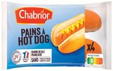 Pains à Hot Dog - Chabrior en promo chez Intermarché Super Pains à Hot Dog - Chabrior dans le catalogue Intermarché Super