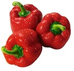 Aktuelle Gemüse Angebote bei REWE in Gelsenkirchen Aktuelles Rote Paprika Angebot bei REWE in Gelsenkirchen ab 2,49 €