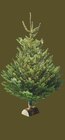 Sapin nordmann 175/200 cm avec bûche offerte à Intermarché Contact dans Messey-sur-Grosne Sapin nordmann 175/200 cm avec bûche offerte à Intermarché Contact dans Messey-sur-Grosne