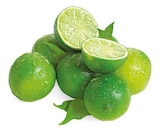 Bio Limette Angebote von REWE Bio bei REWE Hannover für 0,39 €